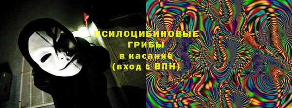 МДМА Ельня