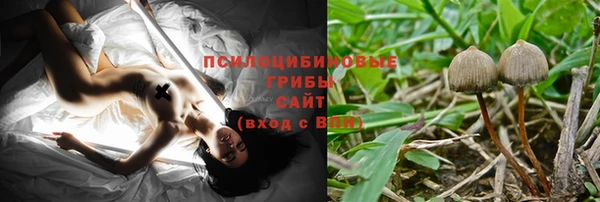 МДМА Ельня