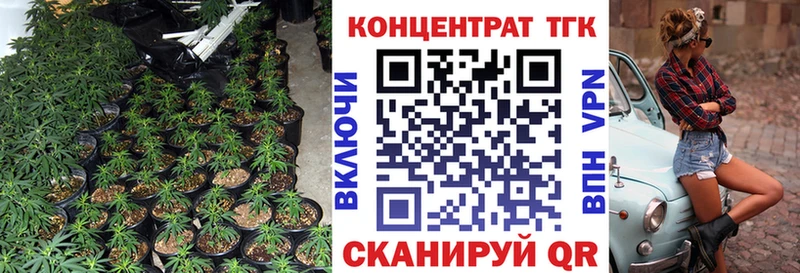 ТГК Wax Севск